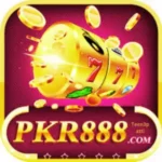 Pkr888 Game