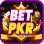 BETPKR VIP