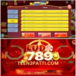 Ludo789 Game New