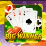 Big Winner APK