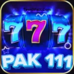 Pak111 Casino