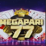 Mega Pari77 APK