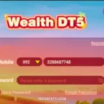 Wealth DT5 Casino