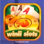 Winli Slots Game