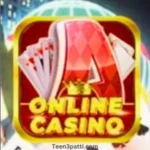 Online Casino APK