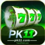 PK 11 Game APK