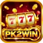 PK2WIN APK