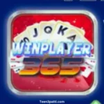 Winplayer365 APK