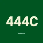 444C Game APK