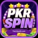 PKR SPIN Game