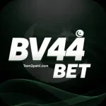BV44 Game