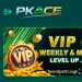 PKACE Game APK